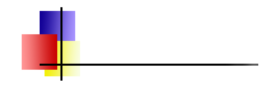 Liftmontage Mayer